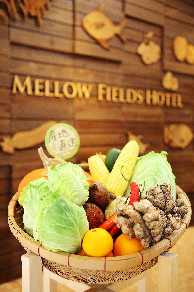 Mellow Fields Hotel Taipei Exterior foto